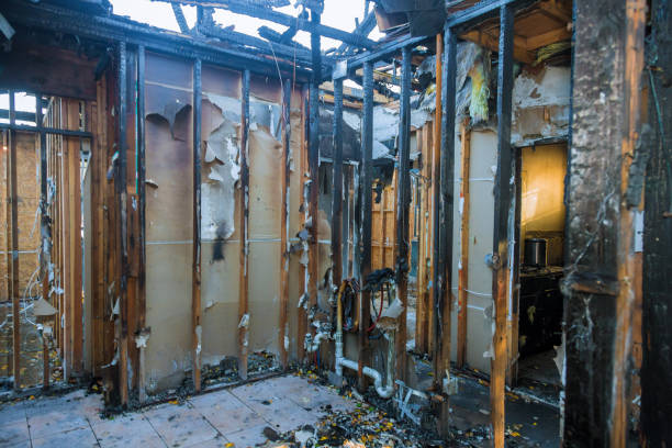 Professional Fire Damage Removal technician working in Hillandale, MD